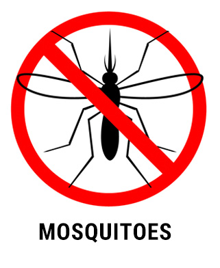 Pest Control - mosquito extermination