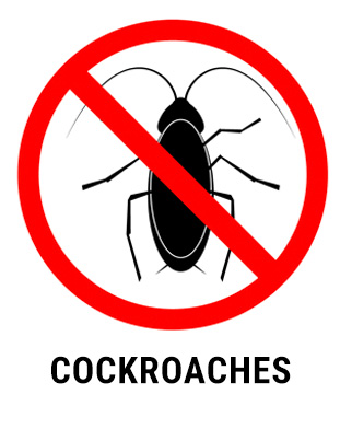 Pest Control - cockroach extermination