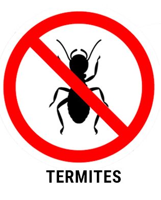 Pest Control - termite extermination